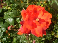 3fd4595c-Picture 6648.jpg